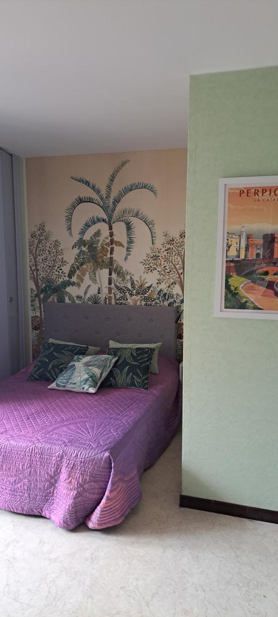 Studio Phannie Renove 50M Cures Amélie-les-Bains-Palalda Екстериор снимка