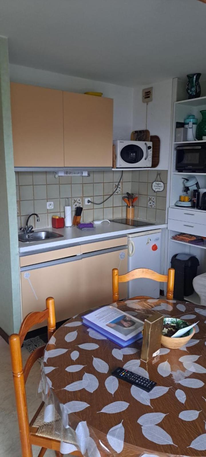 Studio Phannie Renove 50M Cures Amélie-les-Bains-Palalda Екстериор снимка