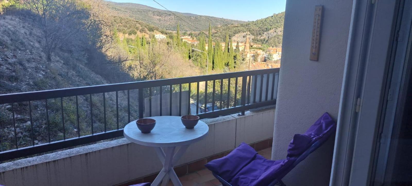 Studio Phannie Renove 50M Cures Amélie-les-Bains-Palalda Екстериор снимка